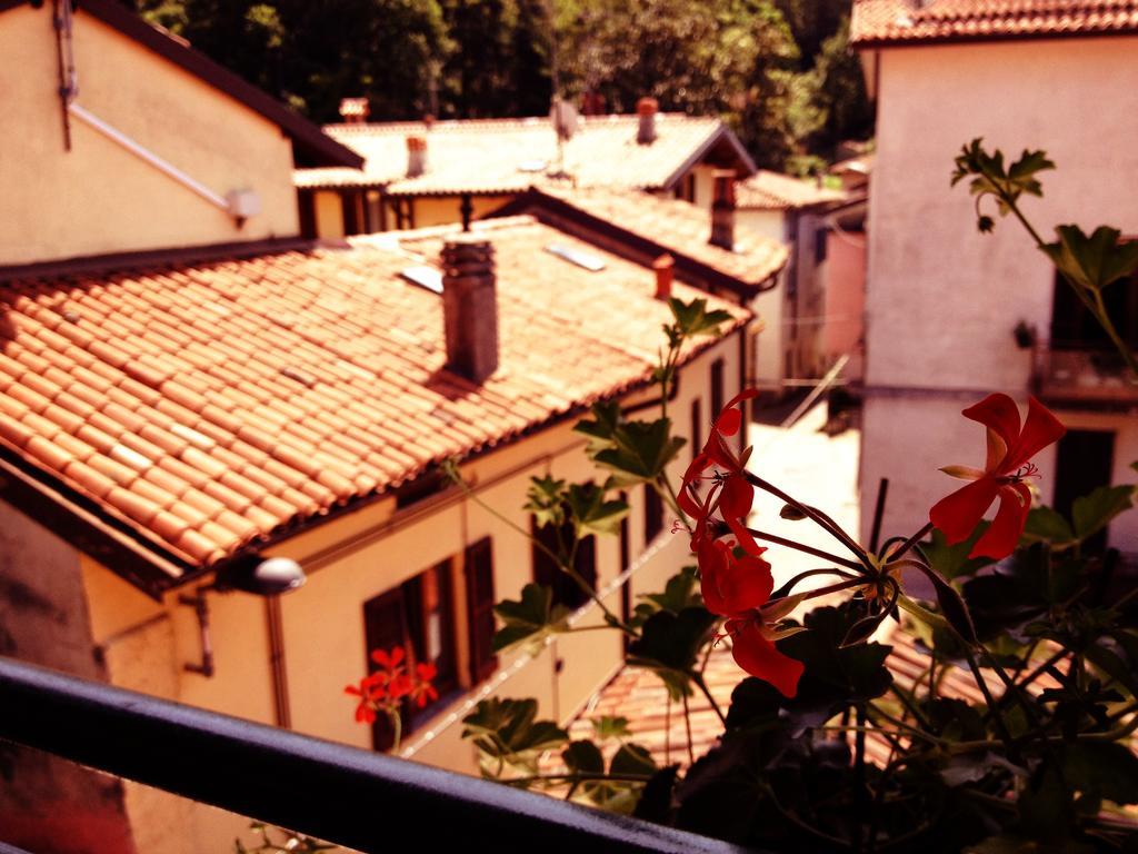 كالولزيوكورتي B&B Il Cortile الغرفة الصورة
